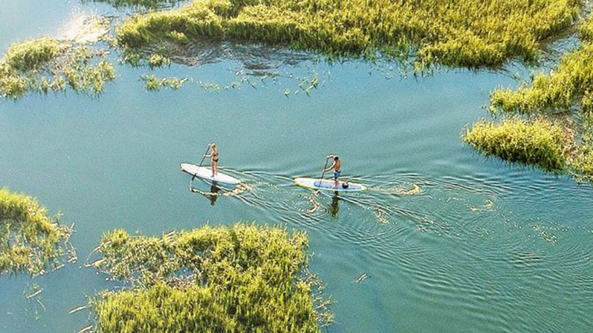 paddle 3